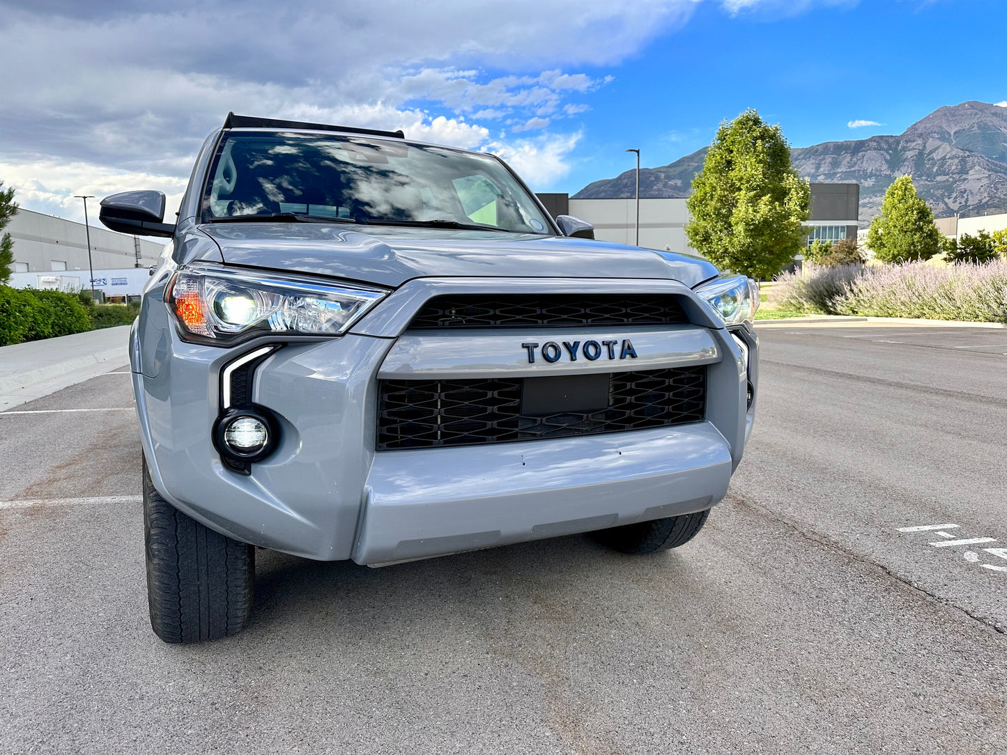 Custom Color Matched TRD Pro Grille 2020+ Toyota 4Runner