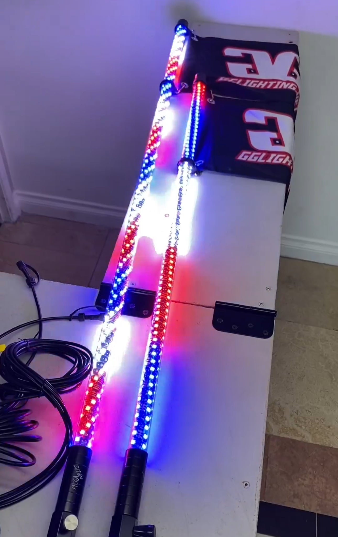 Mega Whipz 6 Foot 60 LED Per Meter Whip Light